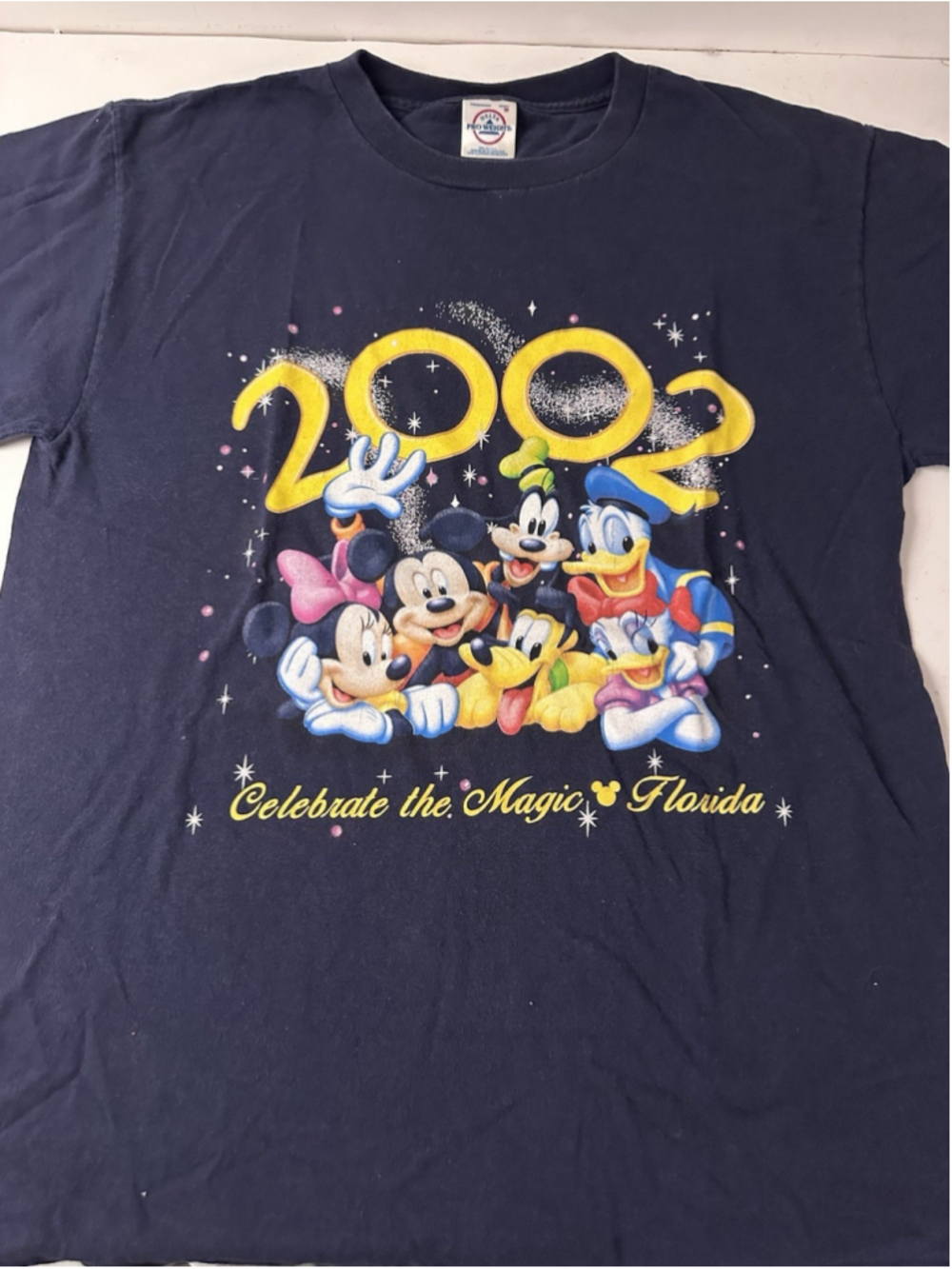 Vintage 2002 Disney Celebrate The Magic Florida T Shirt Medium Mickey Mouse Delt
